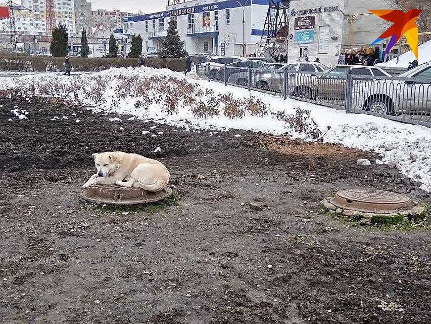 Теплая погода сохранится в Саратовской области