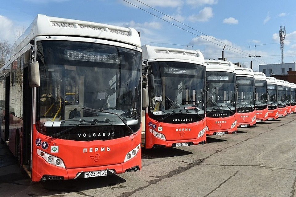 До конца мая у маршрутов №3,22,50,62,80 останутся прежние перевозчики