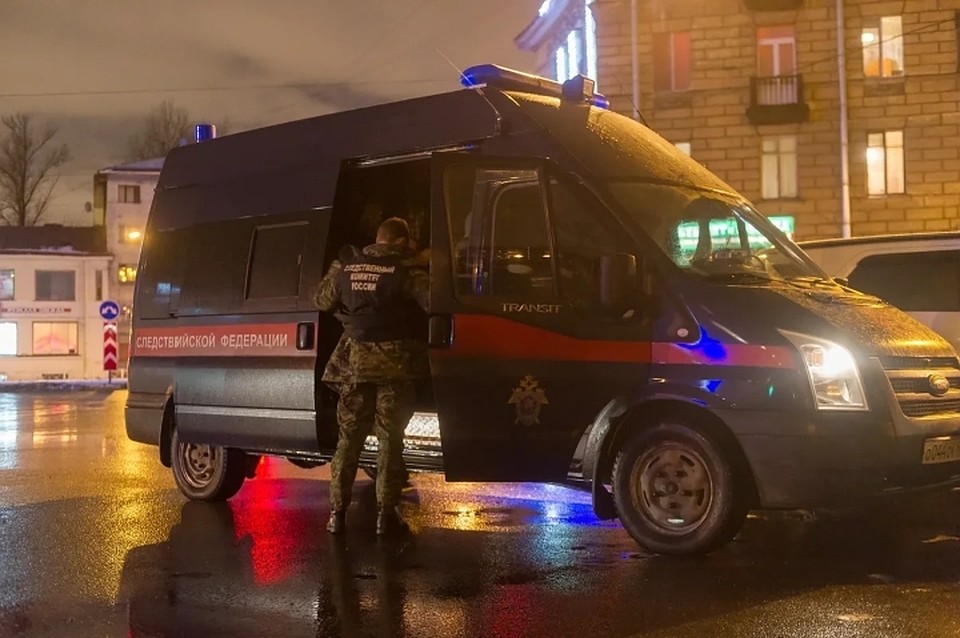 В Купчино мачеха и родной отец жестоко истязали детей месяц за другим.