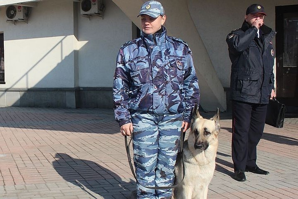 Письма с угрозами получили 19 дошкольных учреждений