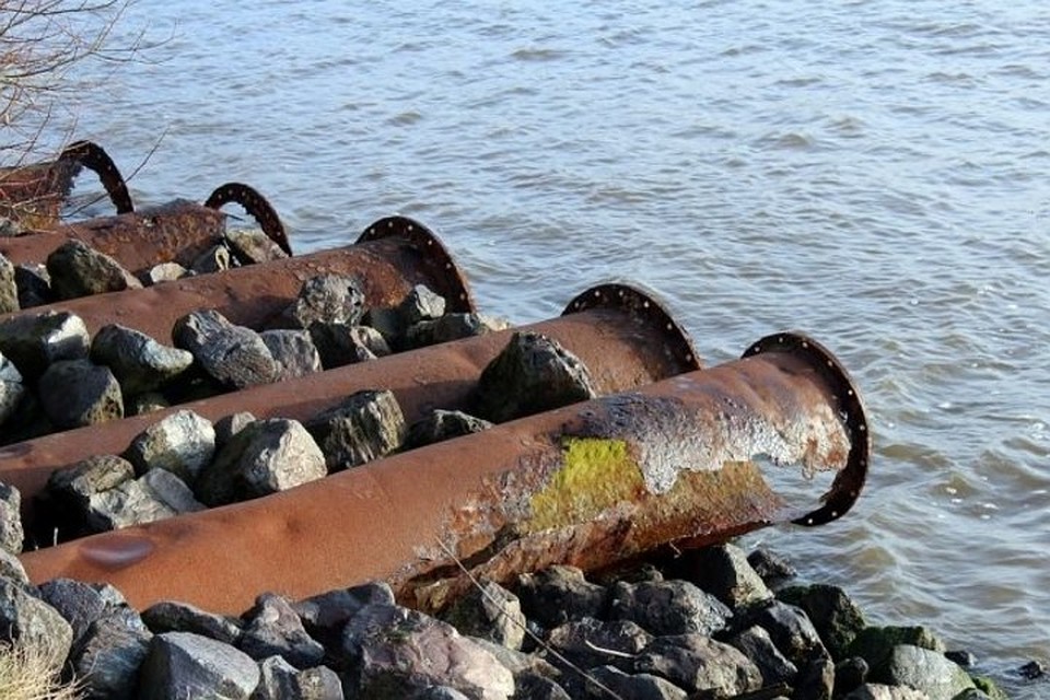 Фото: pixabay.com