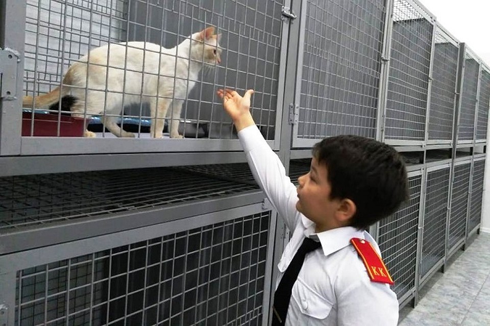 «КотоПес» в Лабытнанги проведет день открытых дверей Фото: Администрация города Лабытнанги