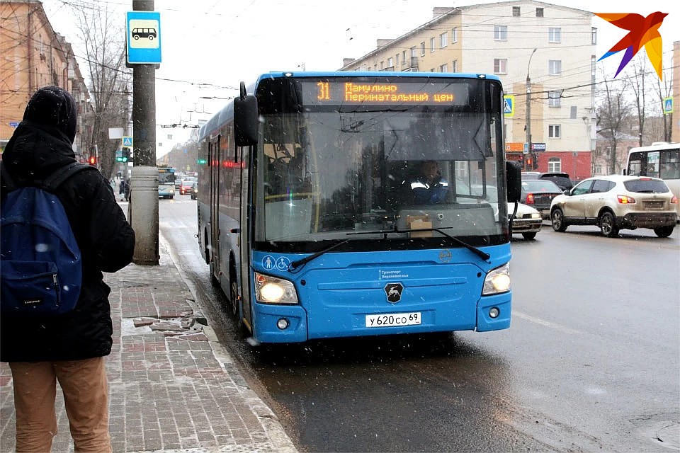 Маршрут №31 обновили одним из первых.
