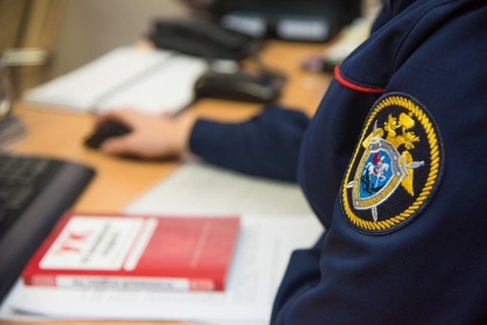 Тюменские следователи проводят проверку по факту нападения собаки на ребенка. Фото - СК по Тюменской области.