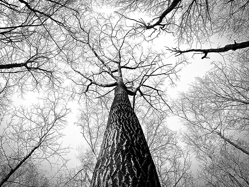 Фото: pixabay.com