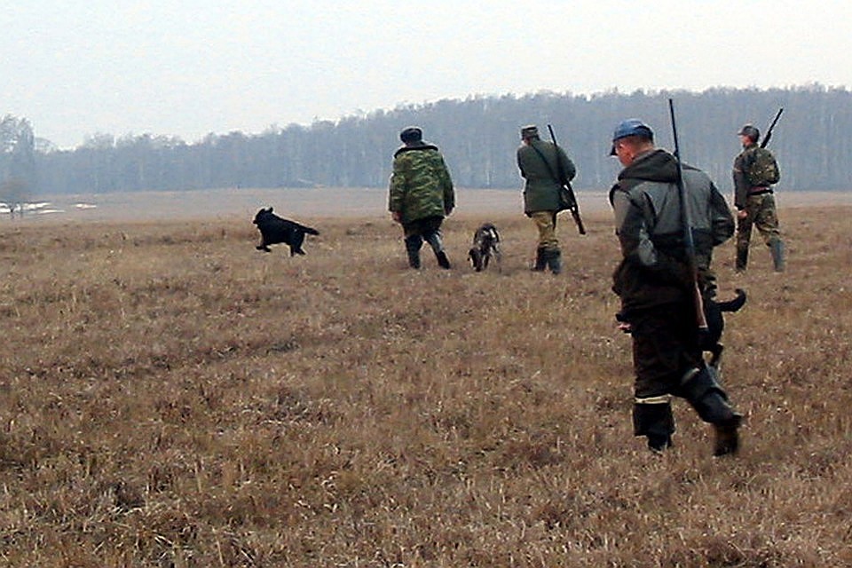 Браконьеры могут получить до пяти лет тюрьмы