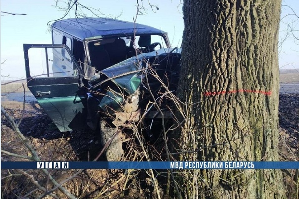 Машина врезалась в дерево. Фото: МВД.