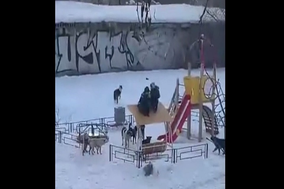 Автор видео утверждает, что оно снять в Новокуйбышевске