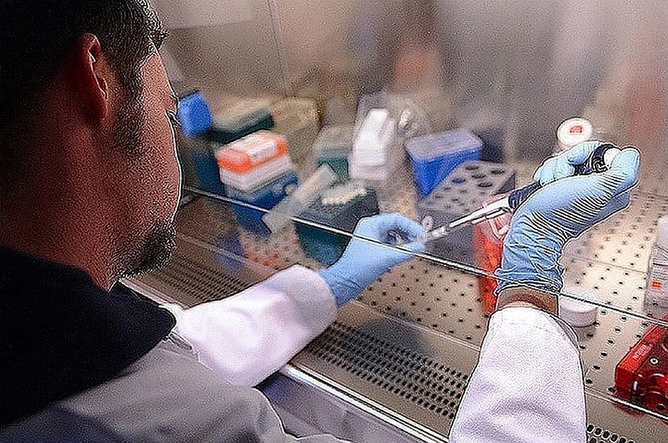 Влияние медицины на человечество связано с тем, что у людей есть средства для ограничения распространения вируса, это и является грубым вмешательством в естественный отбор