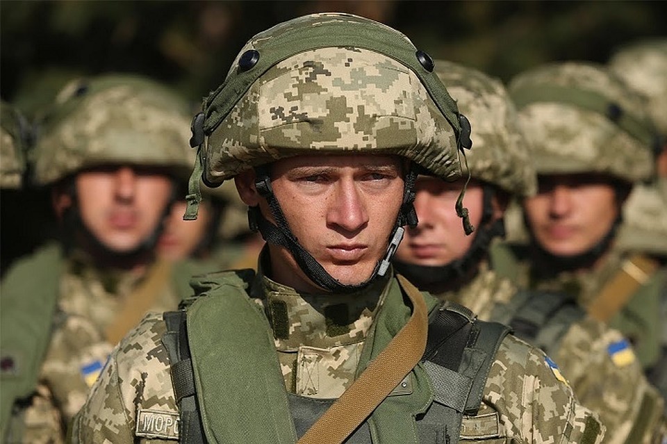 Фото: sharknews.ru
