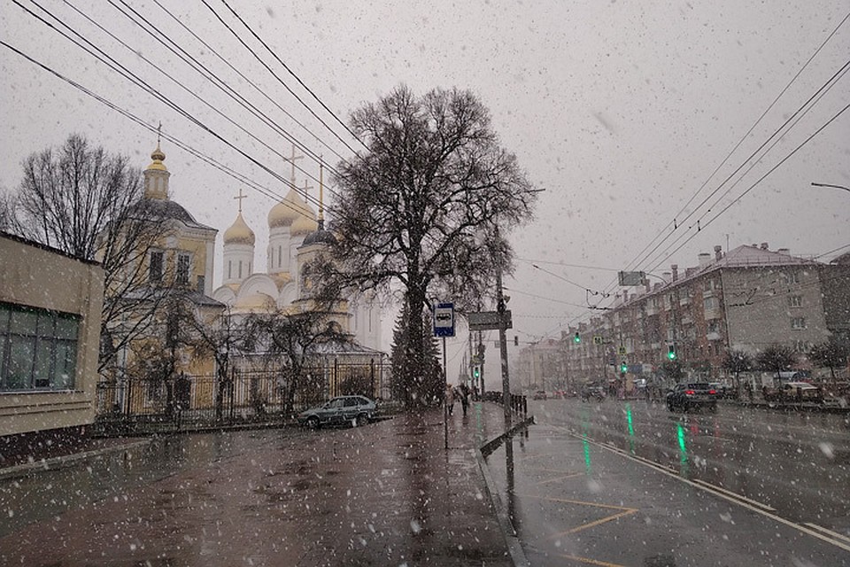 Фото: Ольга Кручинина.