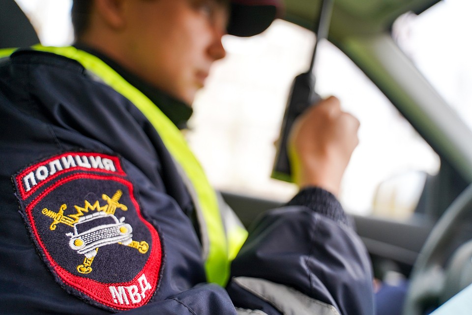 Две недели поисков увенчались успехом