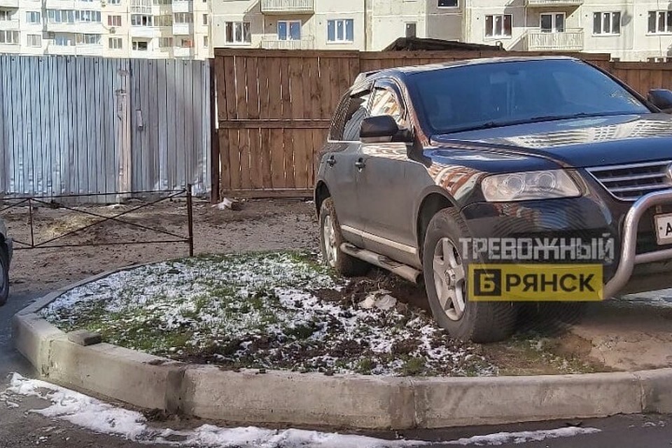 Фото: vk.com, группа "Тревожный Брянск".