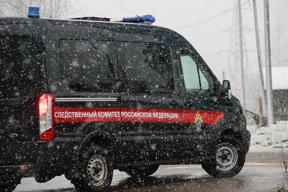 Его взяли под стражу и возбудили в отношении него уголовное дело.