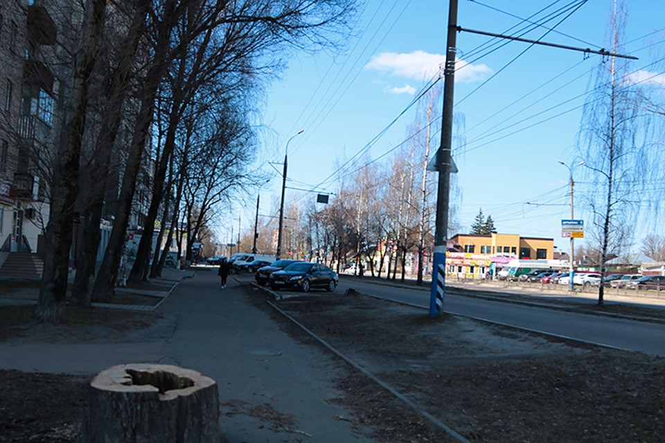 Фото: пресс-служба Брянской городской администрации.
