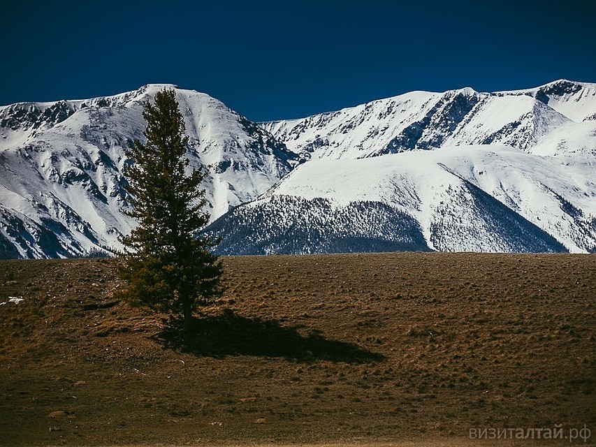 Туризм на Алтае. Фото: Артур Демченко, www.visitaltai.info