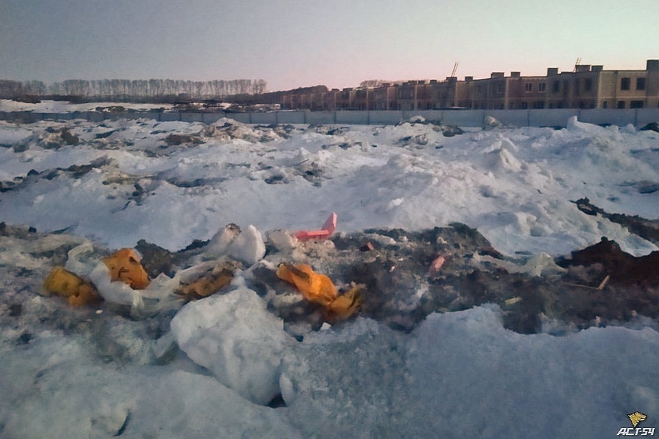 В поле оттаял мусор, который всю зиму вывозили со стройки. Фото: Татьяна Женькина