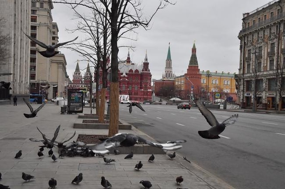 Среднее значение индекса в РФ достигло 169 баллов, при плановом показателе в 166 баллов