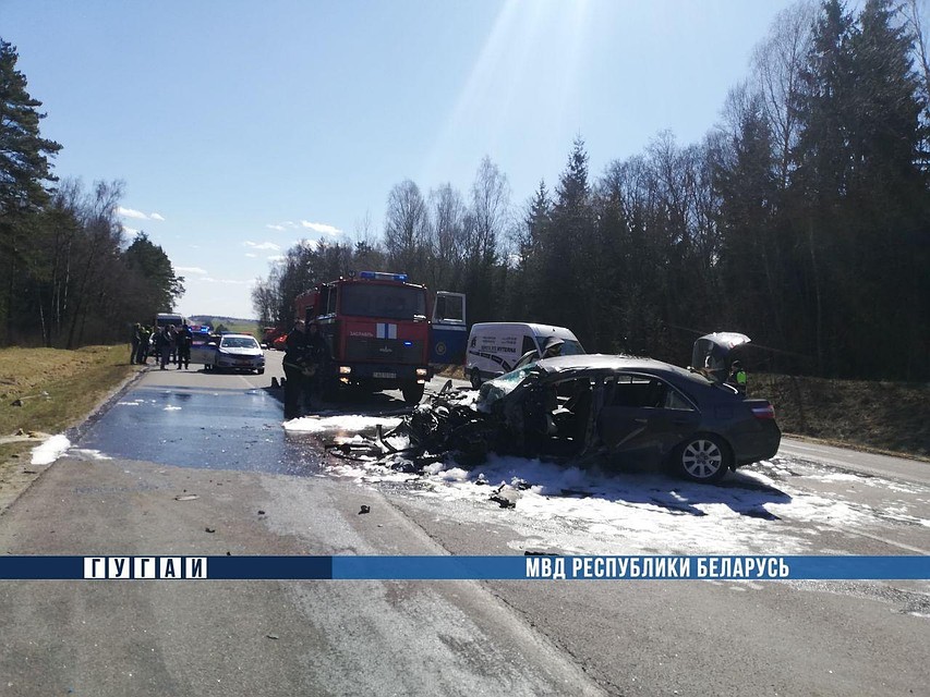 Фото: МВД