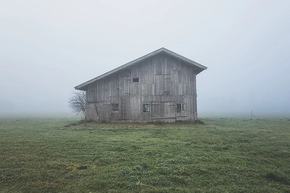 Женщину убили и закопали в сарае. Фотоиллюстрация: pixabay.com.