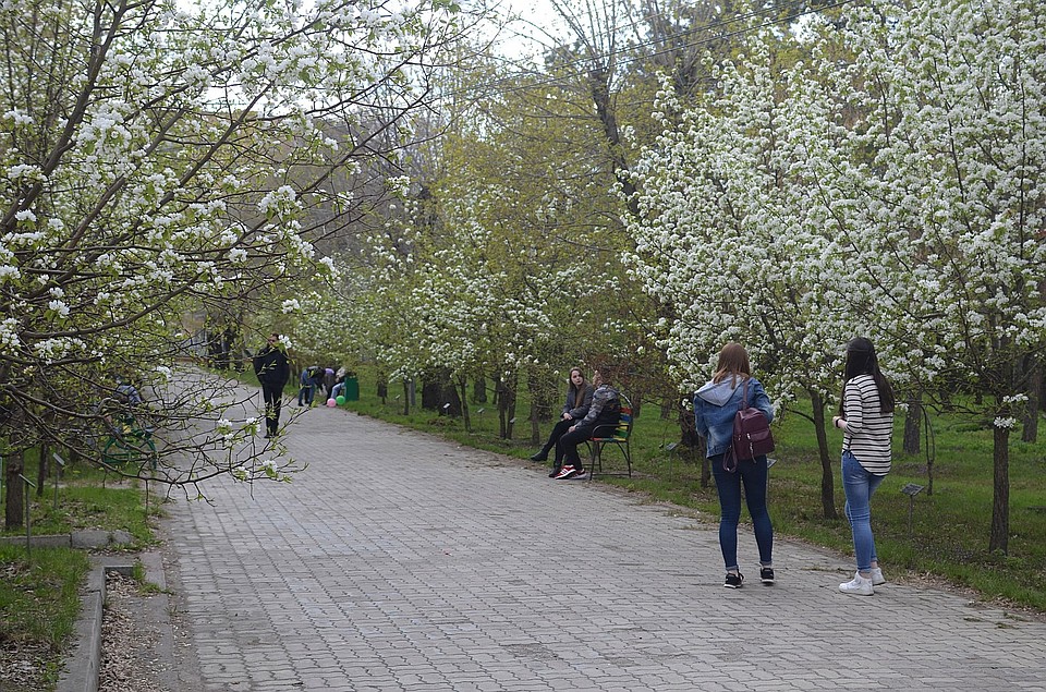 В краевой центр вернется летнее тепло