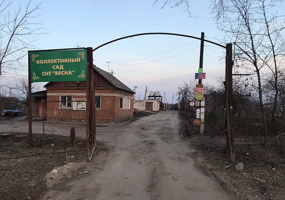 Фото: РОО "Единая Россия".