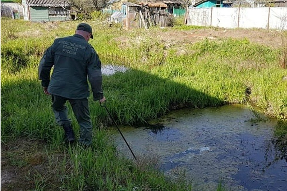 Девочку ищут следователи, полицейские, спасатели, военные и волонтеры. Фото: СУ СК по Псковской области