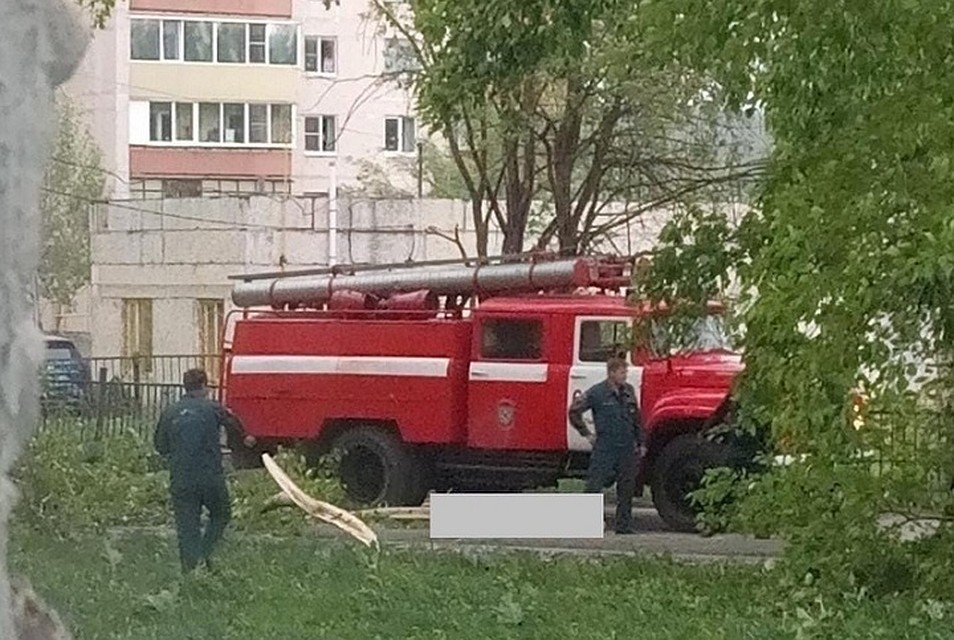 После урагана в больнице погибла бабушка, которую придавило гигантской веткой. Фото: пресс-служба СКР по Свердловской области