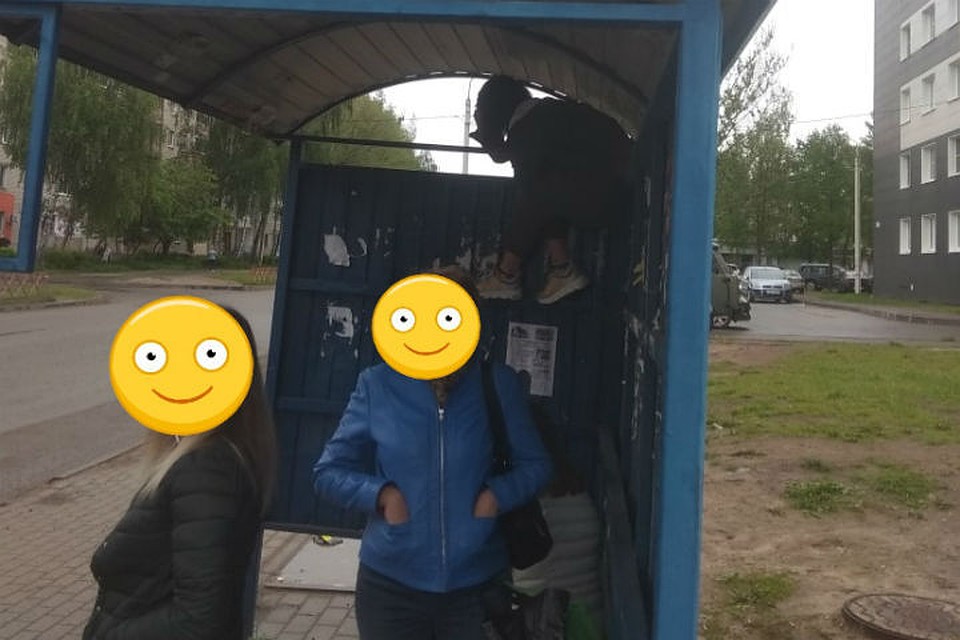 Держит дистанцию, как умеет. ФОТО: группа "Подслушано в Ярославле" ВКонтакте