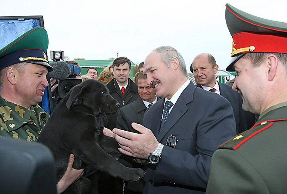 У Лукашенко уже 11 лет живет этот лабрадор. Фото: пресс-служба президента