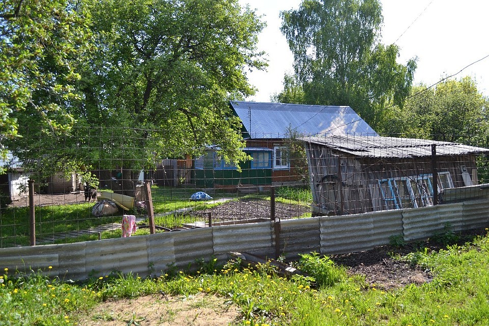 Фото: ryazpressa.ru