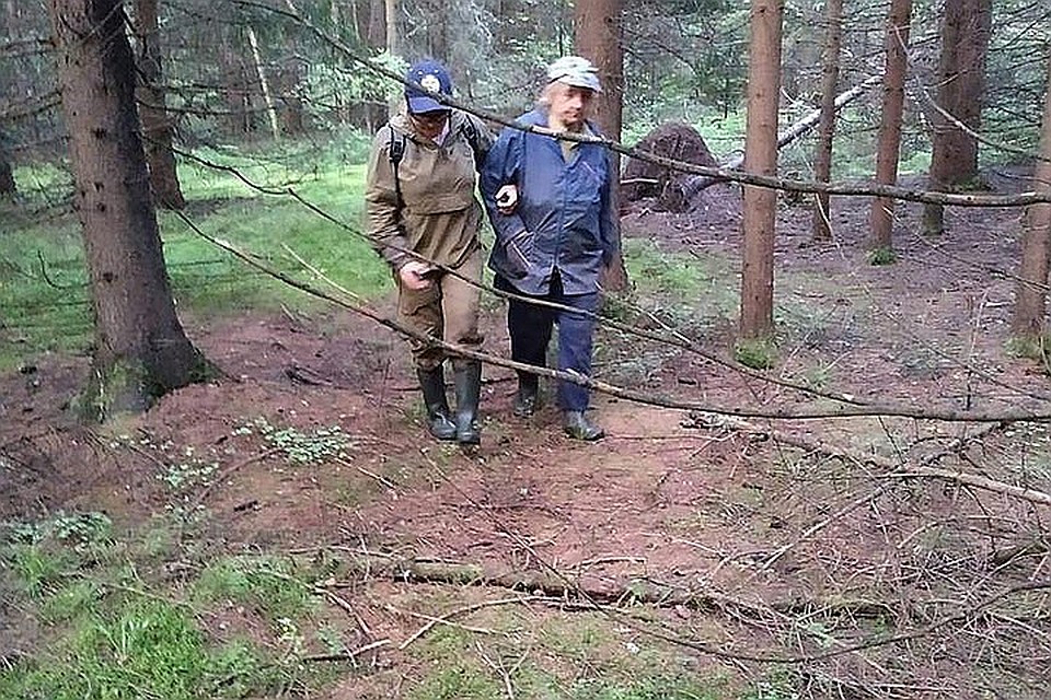 В рамках особого противопожарного режима в Тверской области запрета на посещение лесов нет.