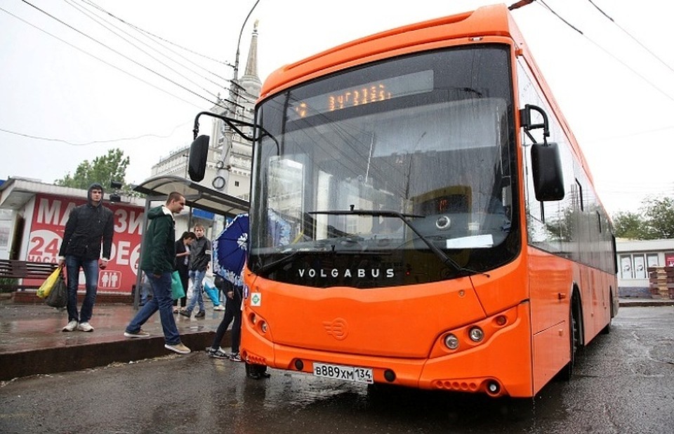 На маршрут выйдут 15 автобусов.