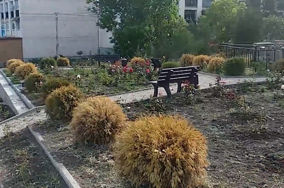 Увядшие растения в сквере у памятника «Веста». Фото: группа «Черный список Севастополь» (ВКонтакте»)