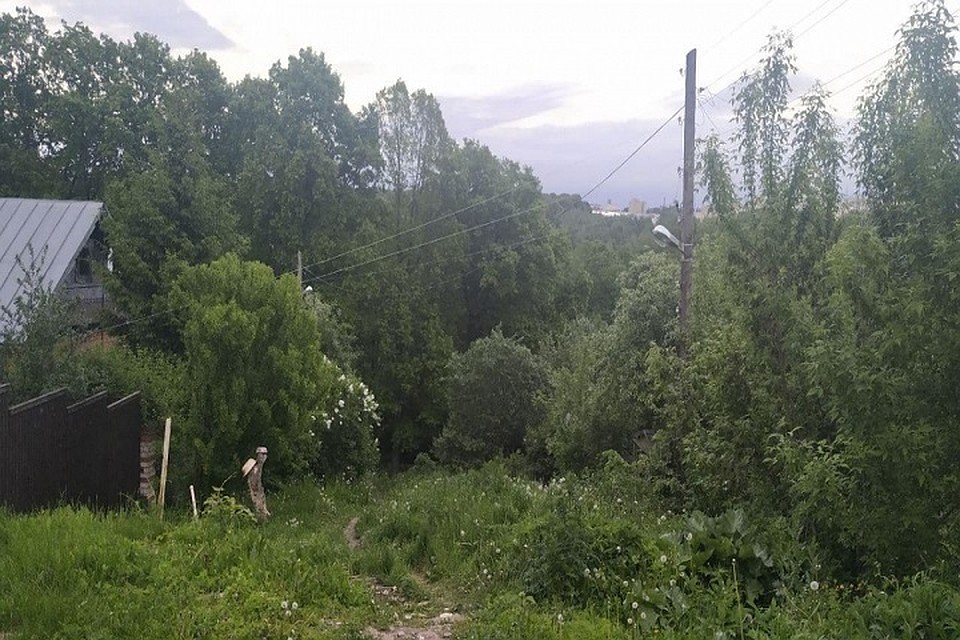 Здесь заметили медведя