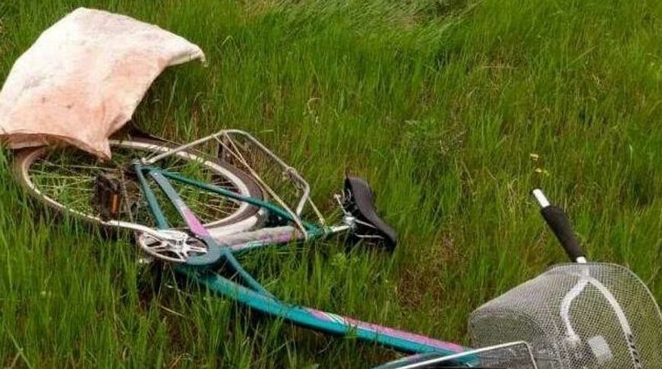 Фото: УВД Брестского облисполкома