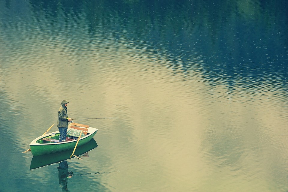 Фото: pixabay.com