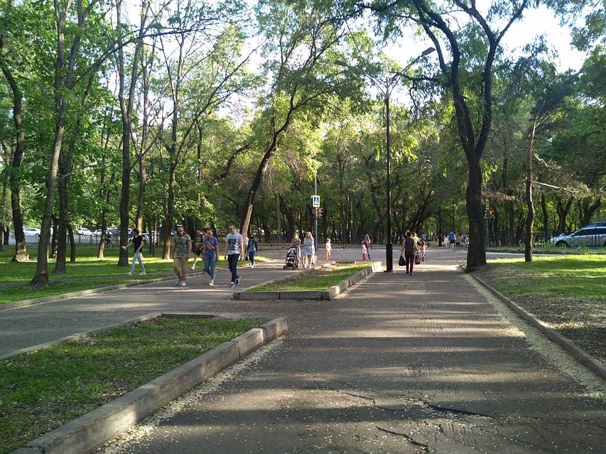 В день эколога и день охраны окружающей среды рассказываем, как приобрести экопривычки и сделать наш мир чище
