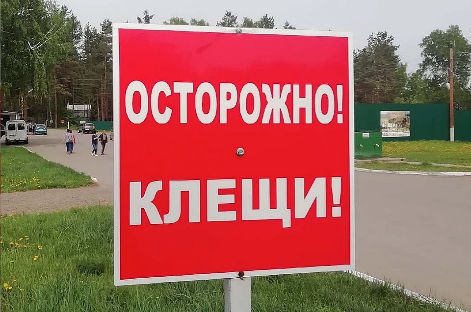 Кровососы «покусали» уже почти 8 тысяч человек