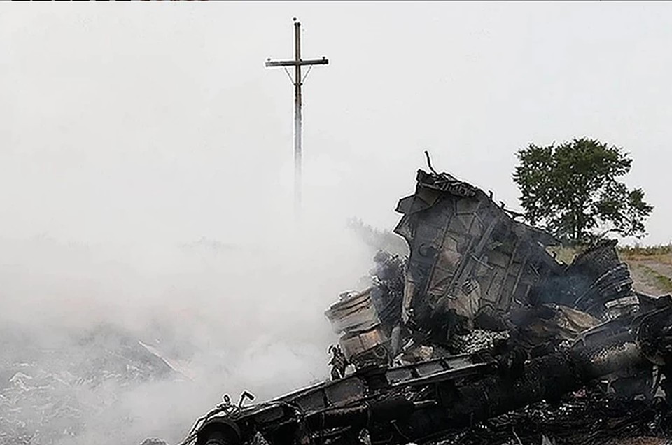 Адвокат считает, что украинские военные могли сбить Boeing MH17 по ошибке