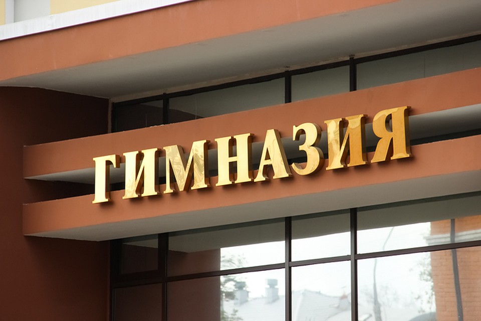 Запись в гимназии начнется 1 июля