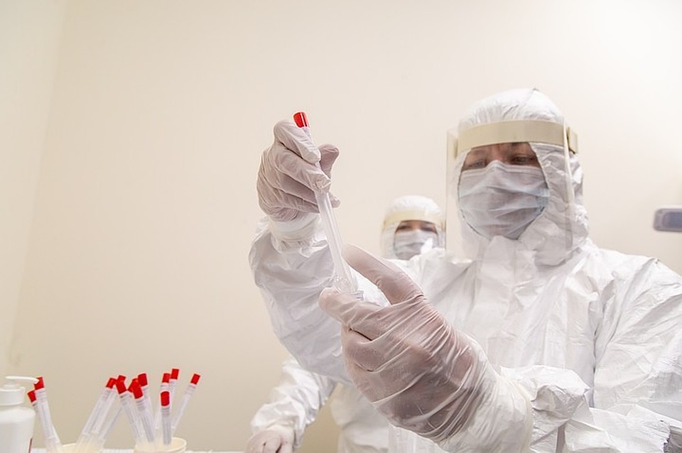 В сутки диагноз COVID-19 подтверждается не менее чем у 20 человек.