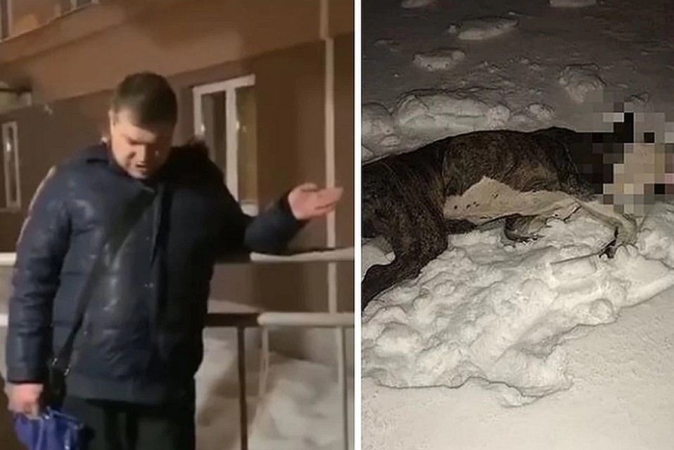 Фото: скриншот с видео / сообщество "Екб-ЧП"