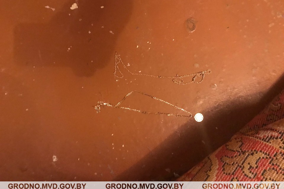 В Гродно пара сначала помогла пенсионерке, а потом украла у нее ювелирные изделия. Фото: УВД Гродненского облисполкома