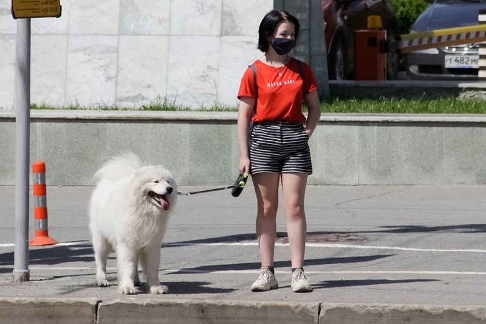 Четыре дня подряд основные показатели для изменения ограничений соответствуют второму этапу.
