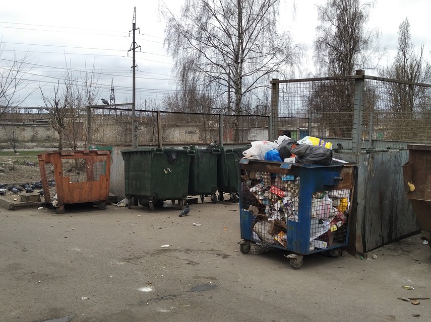 В Курске жители многоквартирных домов будут платить за вывоз ТКО 79,78 руб./чел. в месяц, а индивидуальных жилых домов – 81,43 руб./чел. в месяц