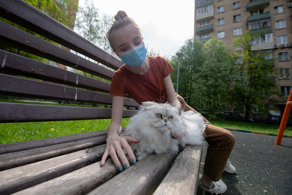 За 24 часа диагноз "коронавирус" снят с 153 приморцев.