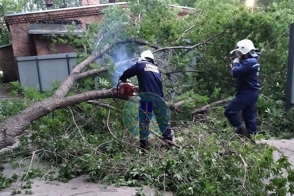Фото: МБУ "Управление гражданской защиты Ульяновска"