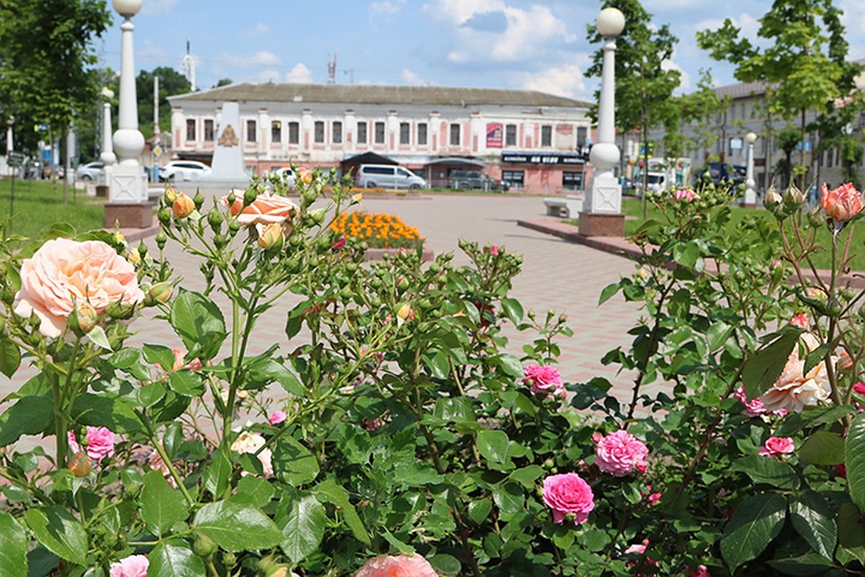 Фото: пресс-служба Брянской городской администрации.