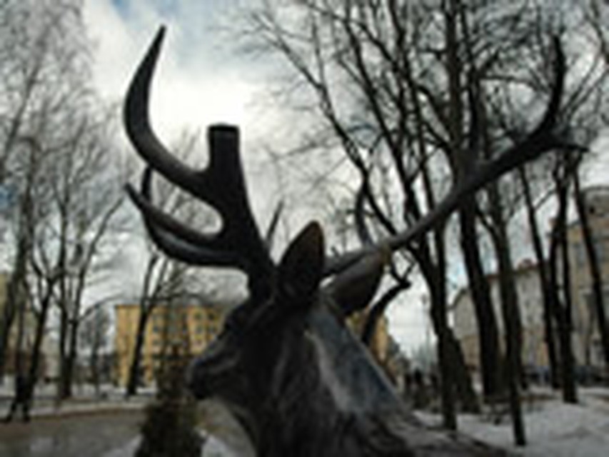 Святослав САФРОНОВ